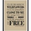 Póster con canción de Tom Petty