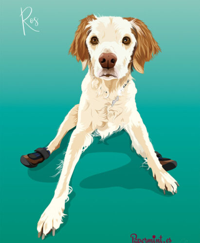 Retrato personalizado de perro mascota