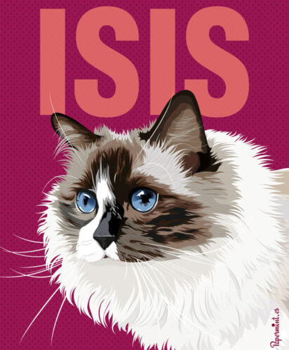 Retrato digital de una gata