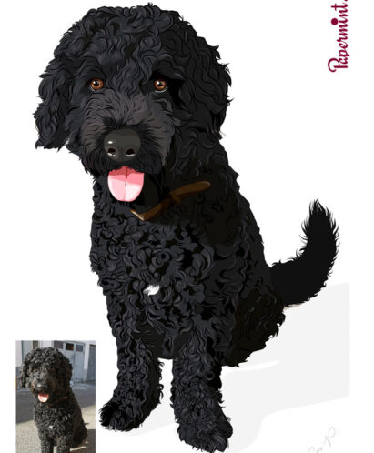 Retrato ilustración de perro de agua negro