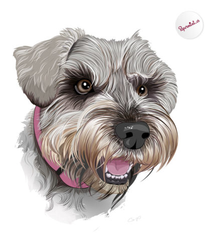 Retrato perro schnauzer personalizado