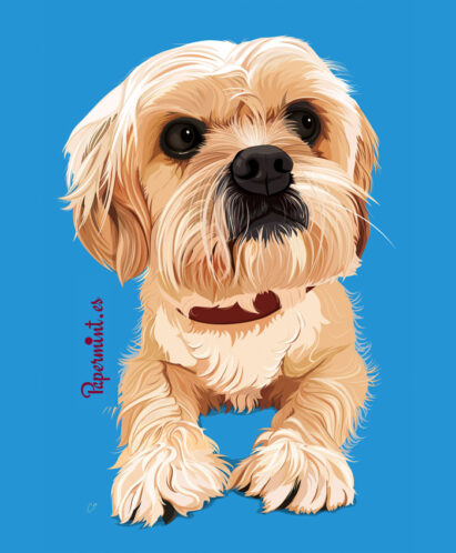 Retrato personalizado de un shih-tzu