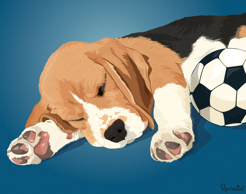 Retrato perro durmiendo