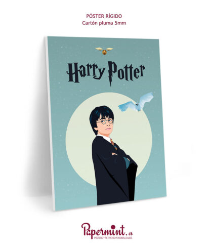 Póster rígido con ilustración de "Harry Potter"